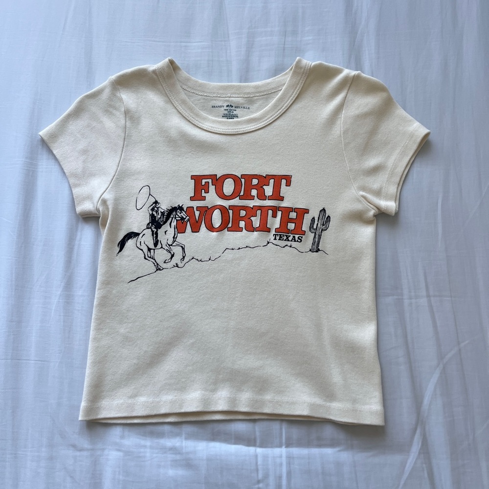 Brandy Melville Crop Top